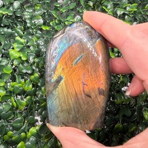 Full Flash, Black Rainbow Labradorite Free Form